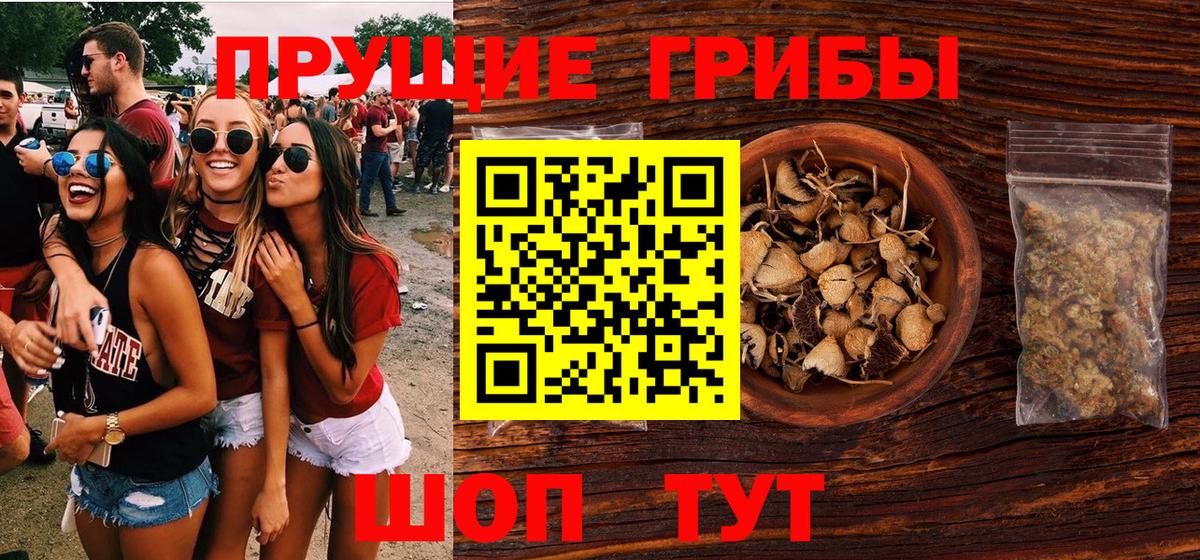 Энгельс  Псилоцибиновые грибы ЛСД  Вход с VPN 